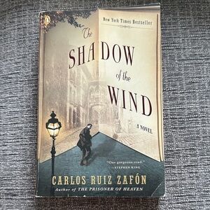 The Shadow of the Wind Book